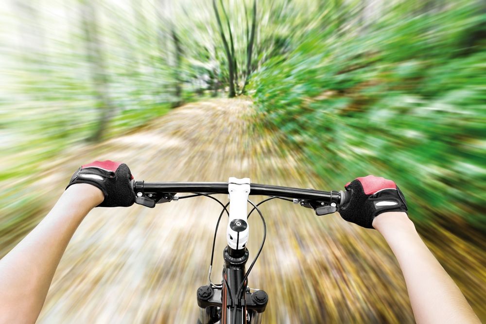 велопрокат